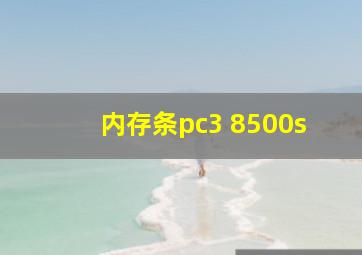 内存条pc3 8500s